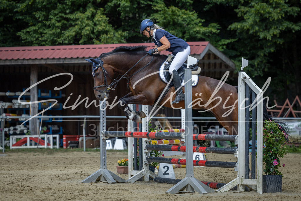 20260704-_3LI0743 | Tierfotografie Pferde, Hunde, Katzen, Haustiere.
Turnierfotografie Reitturniere, Reiten, Springreiten, Dressur in Hanau, dem Main-Kinzig-Kreis und dem Rhein-Main- Gebiet um Frankfurt