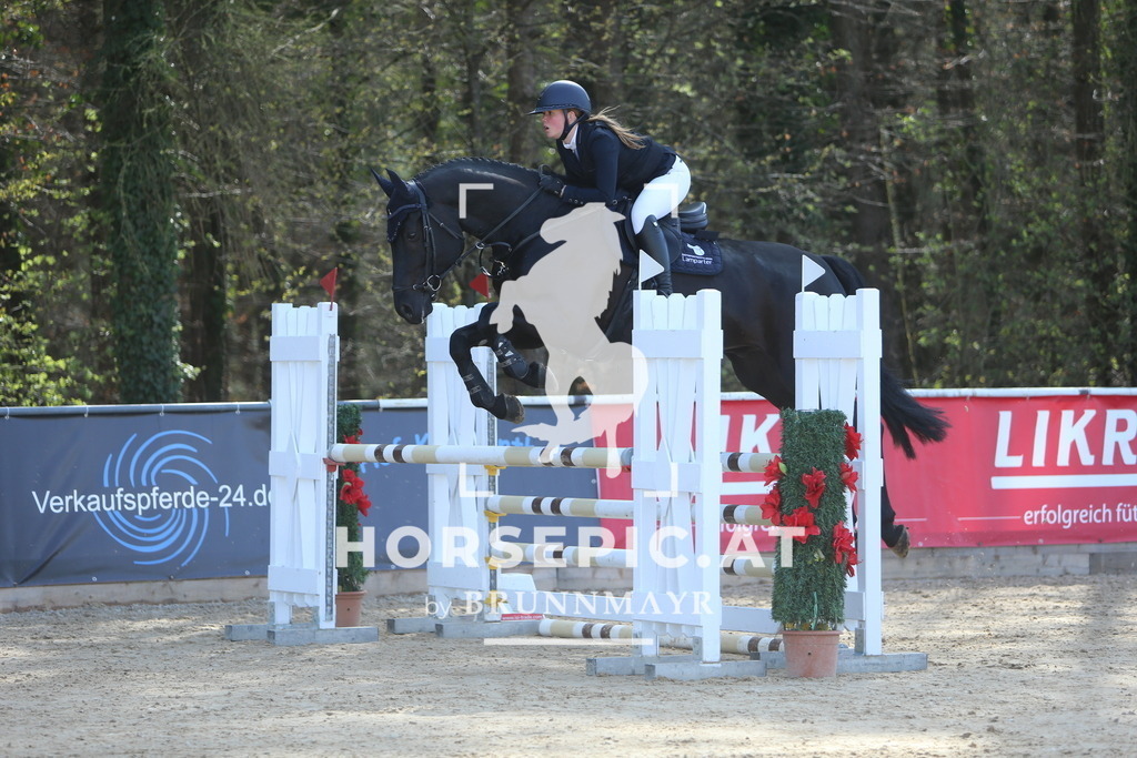 DL2Q0833 | Willkommen bei Brunnmayr - Design & Fotografie – Ihrem Spezialisten für Reitturniere und Pferdeveranstaltungen in Oberösterreich, Salzburg und Bayern! Seit über 17 Jahren sind wir leidenschaftlich dabei.