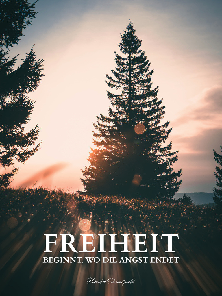 Edition “MOTIVATION” | Spruch: FREIHEIT BEGINNT, WO DIE ANGST ENDET. Die Edition “MOTIVATION” bringt den Spirit des Schwarzwaldes zu Ihnen nach Hause. Wählen Sie Ihren Lieblingsspruch aus zehn unterschiedlichen Varianten. Perfekt für Ihr eigenes Zuhause oder als Geschenk für heimatverliebte Freunde.
 - Realisiert mit Pictrs.com
