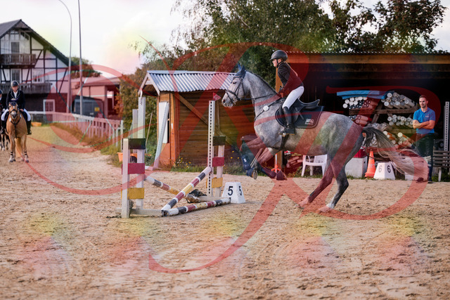 2026_10_03_Siefer-Hof_145129_Z81_30345111 | Professionelle Reitsport-, Turnier- und Eventfotografie von Robert Broda. Galerien mit ausgewählten und bearbeiteten Bildern direkt online ansehen und bestellen.