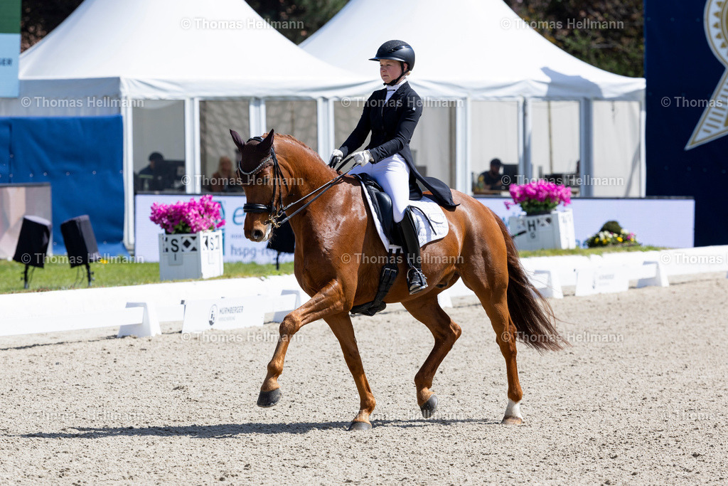 TH_305-HAASE Franziska (GER)_ ALISSIMO_36656 | Horses &amp; Dreams 2026 am 26.04.26 in Hagen a.T.W., Thomas Hellmann, 305HAASE Franziska (GER), ALISSIMO