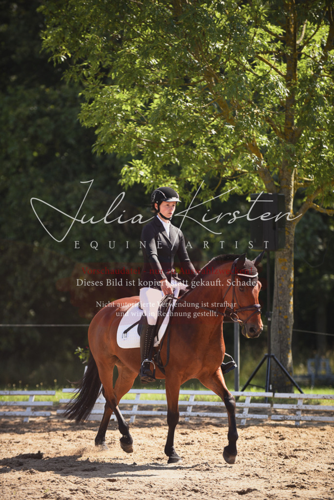 DSC_0471 | Pferde- und Turnierfotografie in Westsachsen. Pferdeportraits, Auftragszeichnungen und intuitive Kunst.