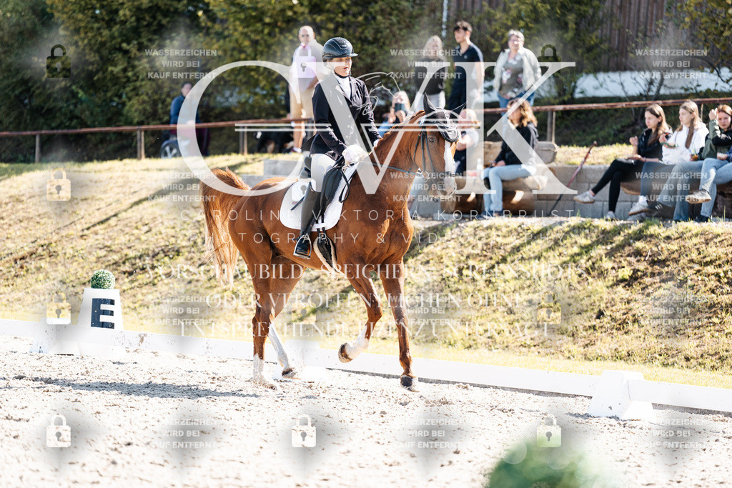 CK902861 | Turnierfotografie Pferdefotografie Trier Rheinland-Pfalz Pferdesport Reitsport Tierfotografie Sportfotografie Pferdevideo Pferdevideografie Equestrianvideography equestrianphotography  - Realisiert mit Pictrs.com