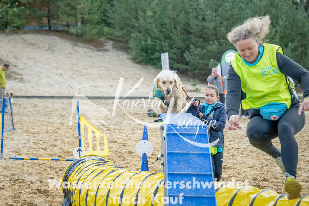 0919_ZZ92214-Bearbeitet | kk-dogfotos