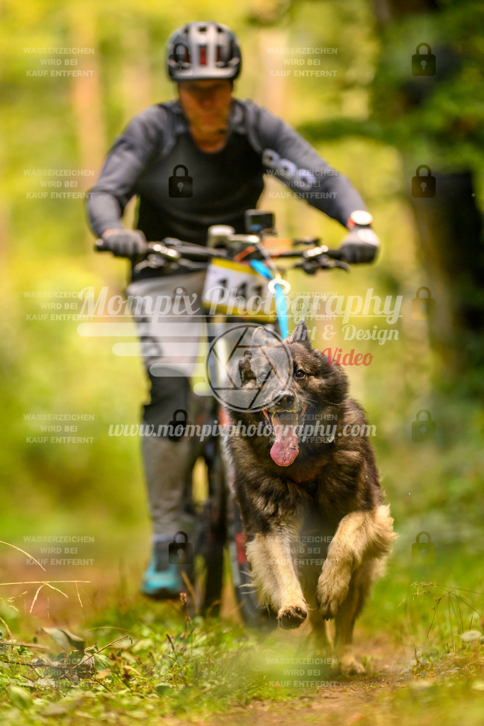 MompixPhotography_Yens2025_B2-143 | PayLife