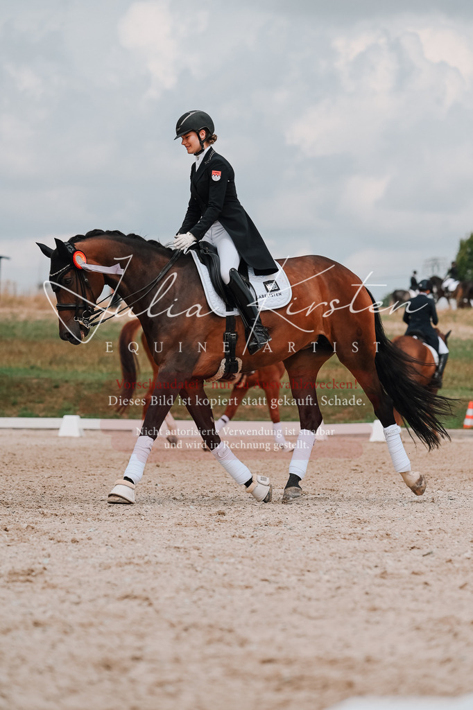 DSC_4146 | Pferde- und Turnierfotografie in Westsachsen. Pferdeportraits, Auftragszeichnungen und intuitive Kunst.