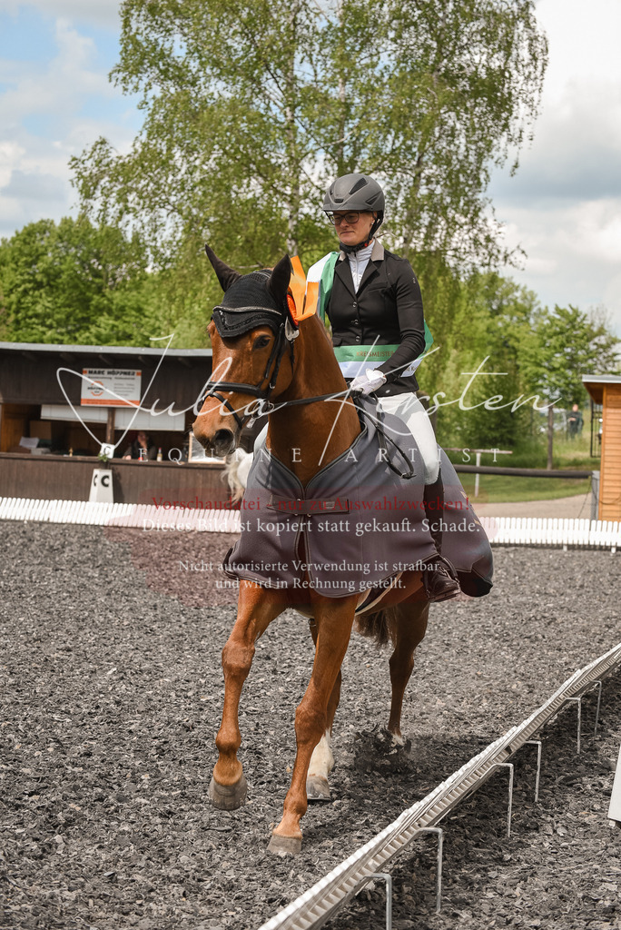 DSC_9245 | Pferde- und Turnierfotografie in Westsachsen. Pferdeportraits, Auftragszeichnungen und intuitive Kunst.