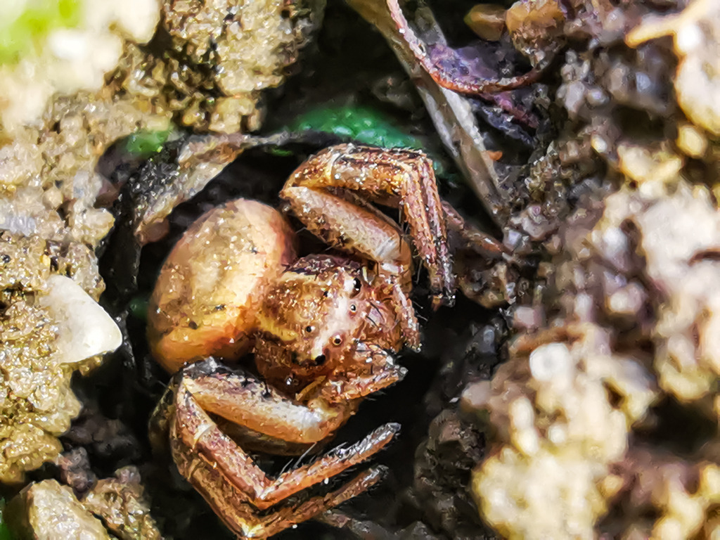 PSX_20230313_224516 | mtkfoto_ - Realisiert mit Pictrs.com