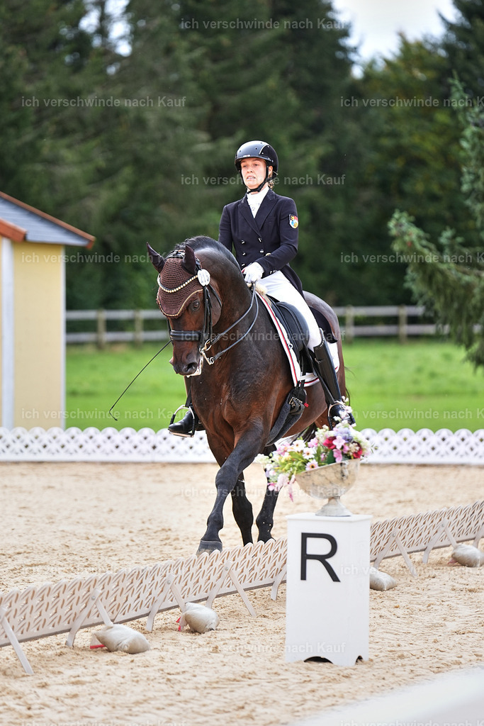 11-215-Dressur S___-Marixx-1750 | working equitationturnier fotograf videograf stoibphotography marixx film working equitation deutschland reitsport turnierfotografie eventfotografie equestrian events