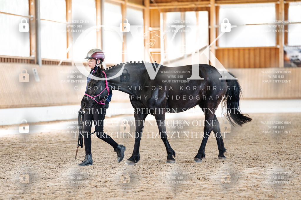 CK906797 | Turnierfotografie Pferdefotografie Trier Rheinland-Pfalz Pferdesport Reitsport Tierfotografie Sportfotografie Pferdevideo Pferdevideografie Equestrianvideography equestrianphotography  - Realisiert mit Pictrs.com