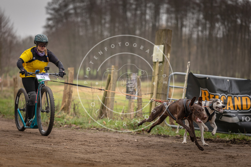Pfotenfotografie_DV3A3202 | Hundefotografie, Tierfotograf, Pfotenfotografie, Fotoshooting Hund, Hunde Portrait, Hundesport, Hundeportraits, Heideshooting, Hunde, Sportfotograf, Hundefotograf, Turnierhundsport, THS,  - Realisiert mit Pictrs.com