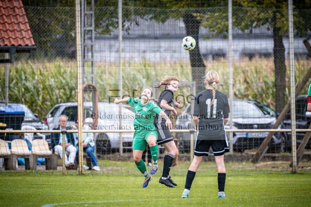 SG Bohmte/Ostercappeln/Schwagstorf - SG Hollenstede / Schwagstorf | Fr.-BZL Weser-Ems Süd · 1. Damen - SG Hollenstede / Schwagstorf · Sportplatz - Realisiert mit Pictrs.com