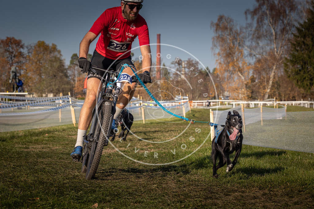 CaniXpix_0L8A7957 | Hundefotografie, Tierfotograf, Pfotenfotografie, Fotoshooting Hund, Hunde Portrait, Hundesport, Hundeportraits, Heideshooting, Hunde, Sportfotograf, Hundefotograf, Turnierhundsport, THS,  - Realisiert mit Pictrs.com