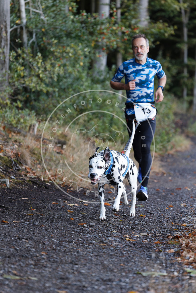 0L8A1401 | Hundefotografie, Tierfotograf, Pfotenfotografie, Fotoshooting Hund, Hunde Portrait, Hundesport, Hundeportraits, Heideshooting, Hunde, Sportfotograf, Hundefotograf, Turnierhundsport, THS,  - Realisiert mit Pictrs.com