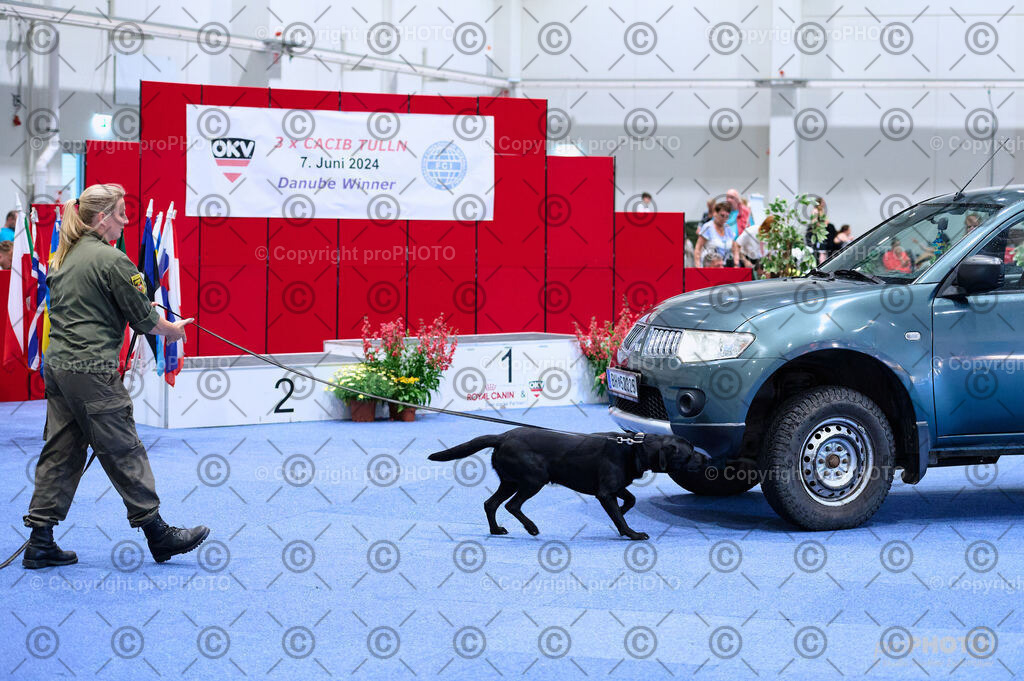 202406_ÖKV-IHA-Tulln24_DSC_2751 | proPHOTO - Realisiert mit Pictrs.com