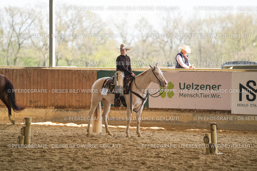 DSC00240 | Pferdegrafie