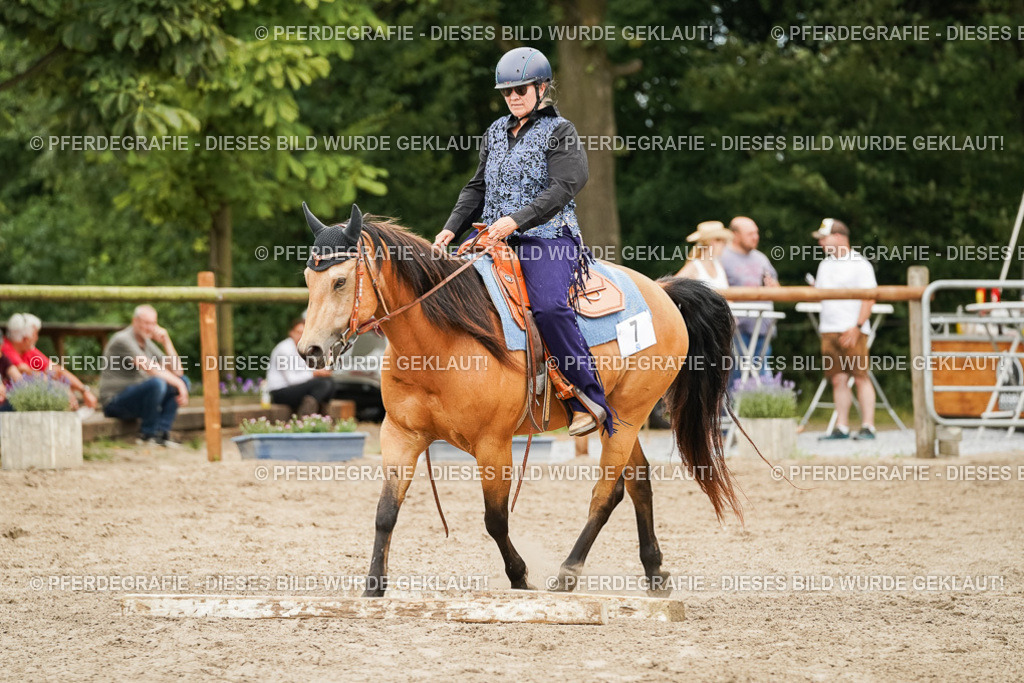 DSC08610 | Pferdegrafie