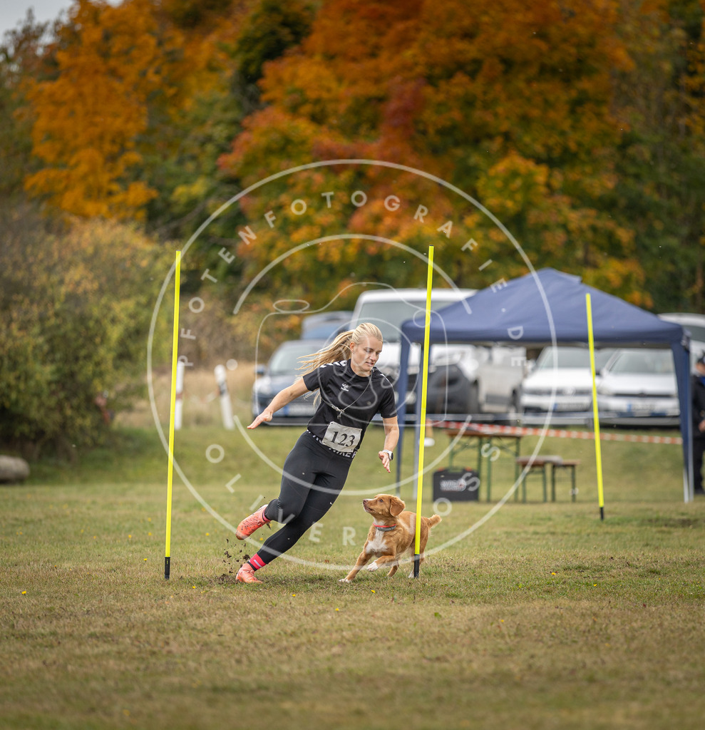 Pfotenfotografie_DV3A7459 | Hundefotografie, Tierfotograf, Pfotenfotografie, Fotoshooting Hund, Hunde Portrait, Hundesport, Hundeportraits, Heideshooting, Hunde, Sportfotograf, Hundefotograf, Turnierhundsport, THS,  - Realisiert mit Pictrs.com