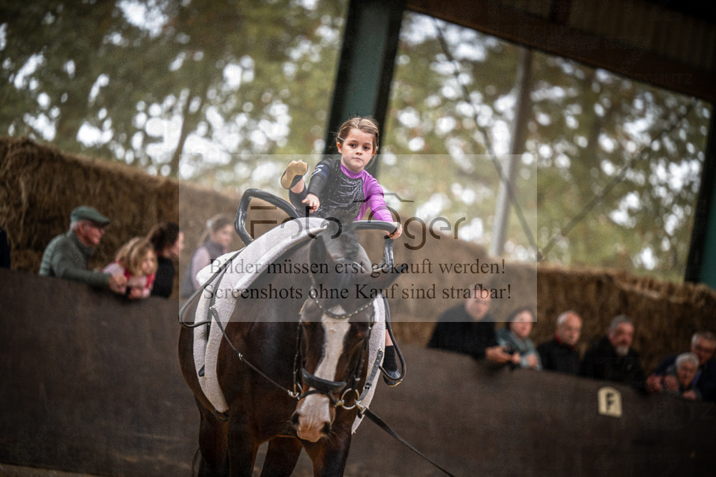 DOS_0186 | Entdecke hochwertige Reitturnierfotos von Foto Oger. Professionell, emotional und authentisch – jetzt Lieblingsmomente im Shop bestellen.Deutschlandweite Turnierfotografie. - Realisiert mit Pictrs.com