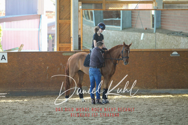 DKP42455 | Turniersportfotografie; Pferdefotografie; Dressurfotografie