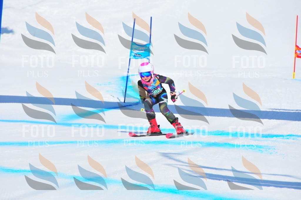 DSC_1124 | holidayphoto