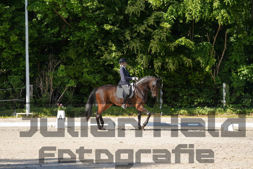 DSC00750 | Julian Held Fotografie - Realisiert mit Pictrs.com