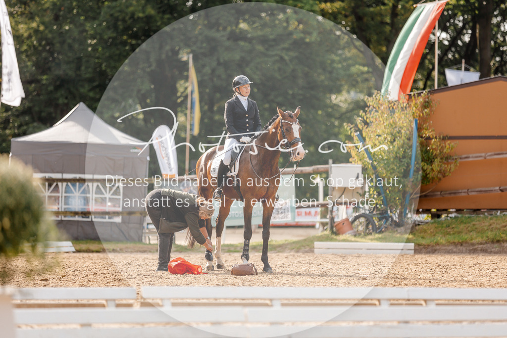 3I6A2907 | Stimmungsvolle Portraits und Reitsportfotografie im Ruhrgebiet und im Münsterland.

Pferdefotografie, Hundefotografie, Tierfotografie, Reportagen, Portraits von Tier und Mensch, Turnierfotografie in Bochum, Recklinghausen, Marl, Haltern am See, Dülmen.. - Realisiert mit Pictrs.com