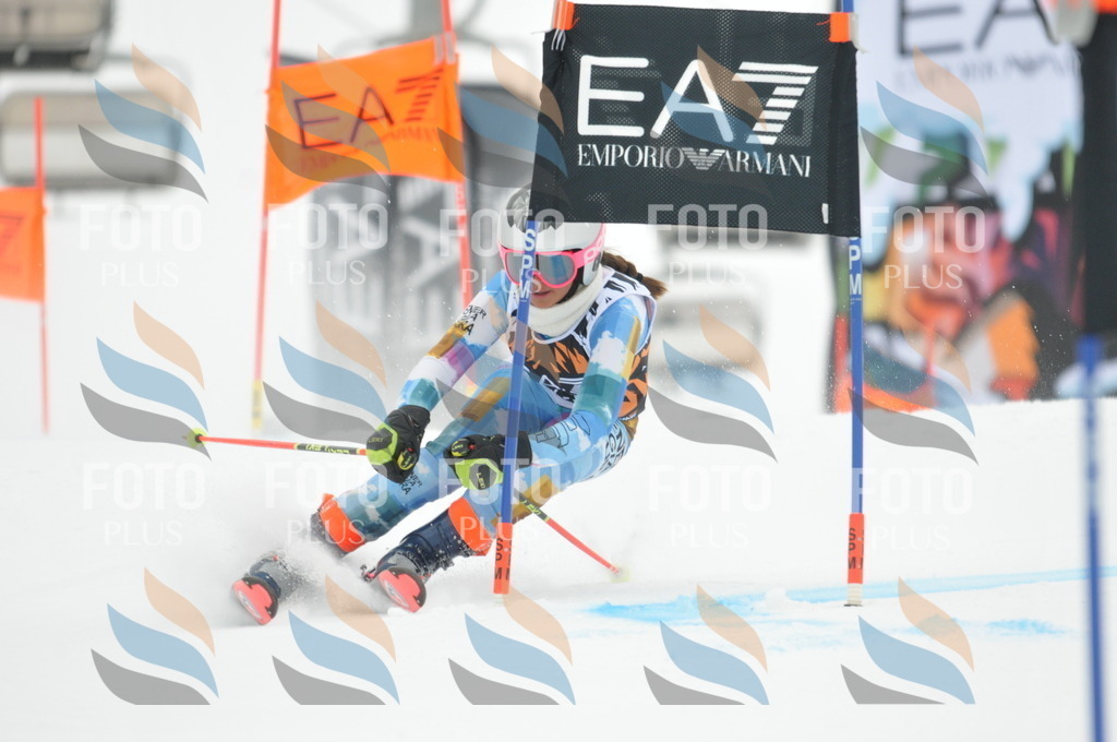 DSC_8036 | holidayphoto