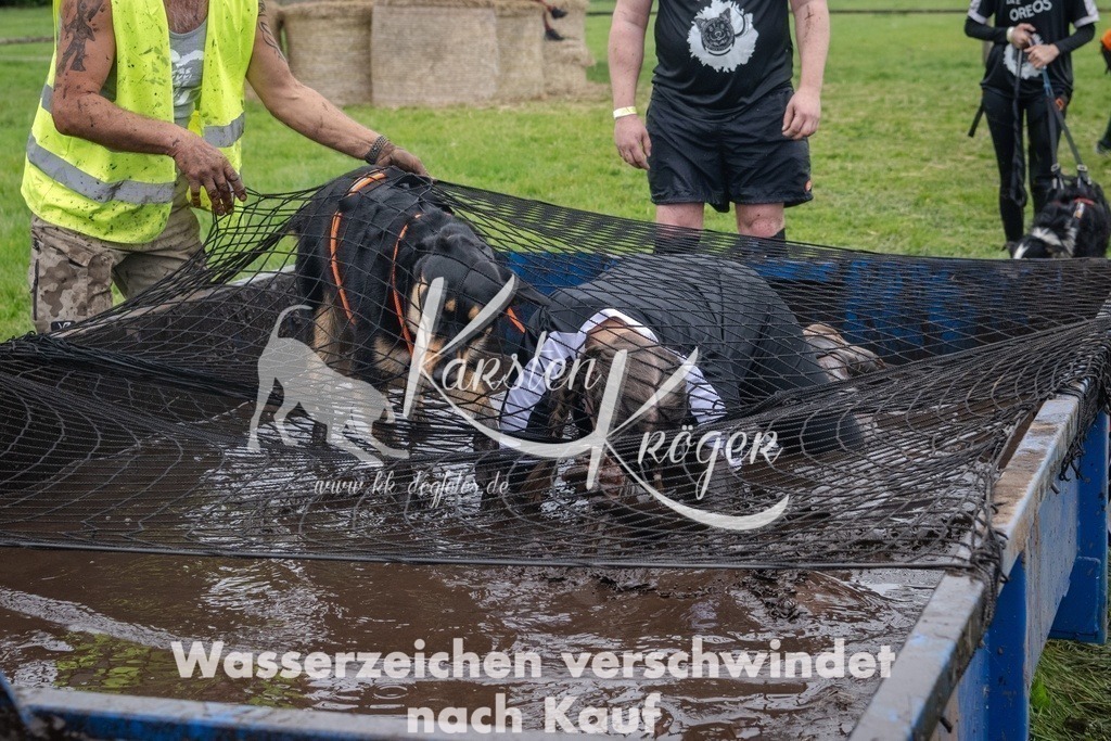 _ZZ93316 | kk-dogfotos