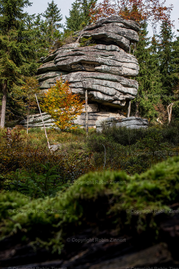 Ahornfels-14 | Robin Zinnert - Realisiert mit Pictrs.com