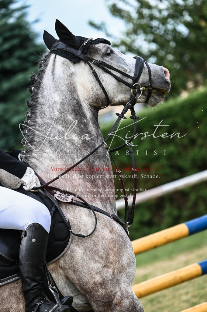 DSC_8361 | Pferde- und Turnierfotografie in Westsachsen. Pferdeportraits, Auftragszeichnungen und intuitive Kunst.