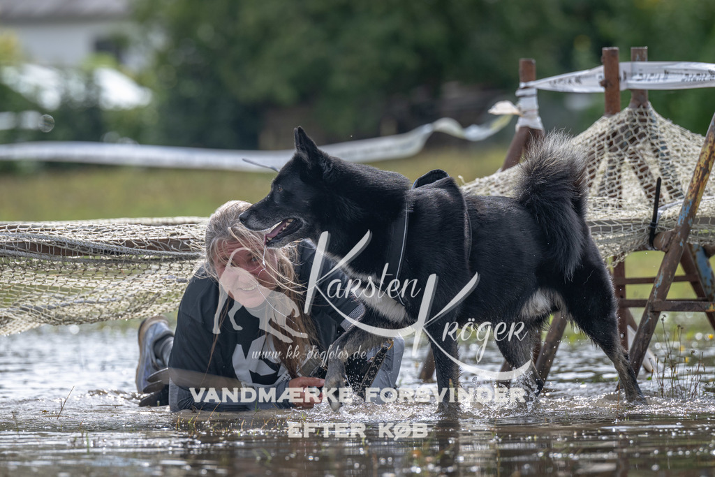 1331_ZZ90030 | kk-dogfotos