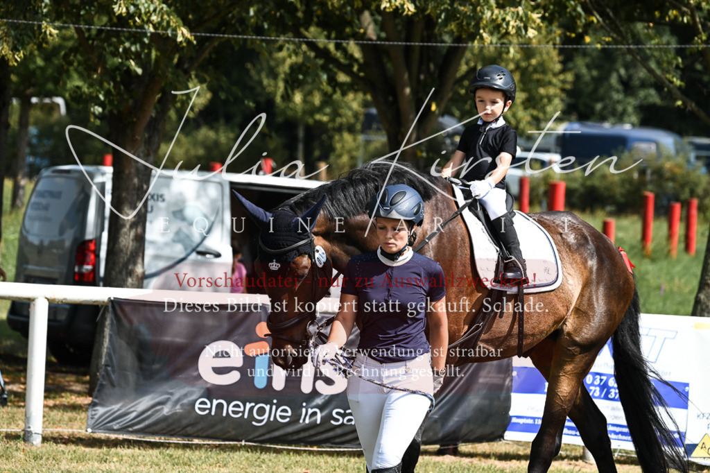 DSC_6796 | Pferde- und Turnierfotografie in Westsachsen. Pferdeportraits, Auftragszeichnungen und intuitive Kunst.