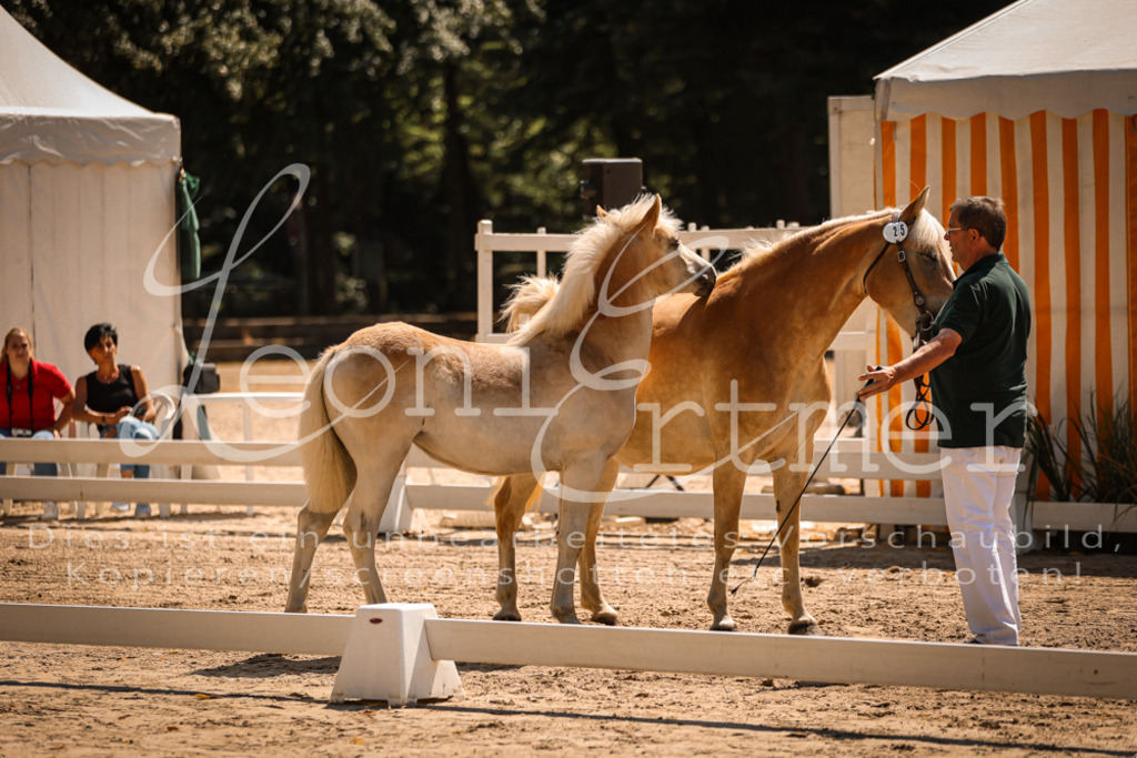 06.DoH00041 | Leoni Ertmer Photography - Realisiert mit Pictrs.com