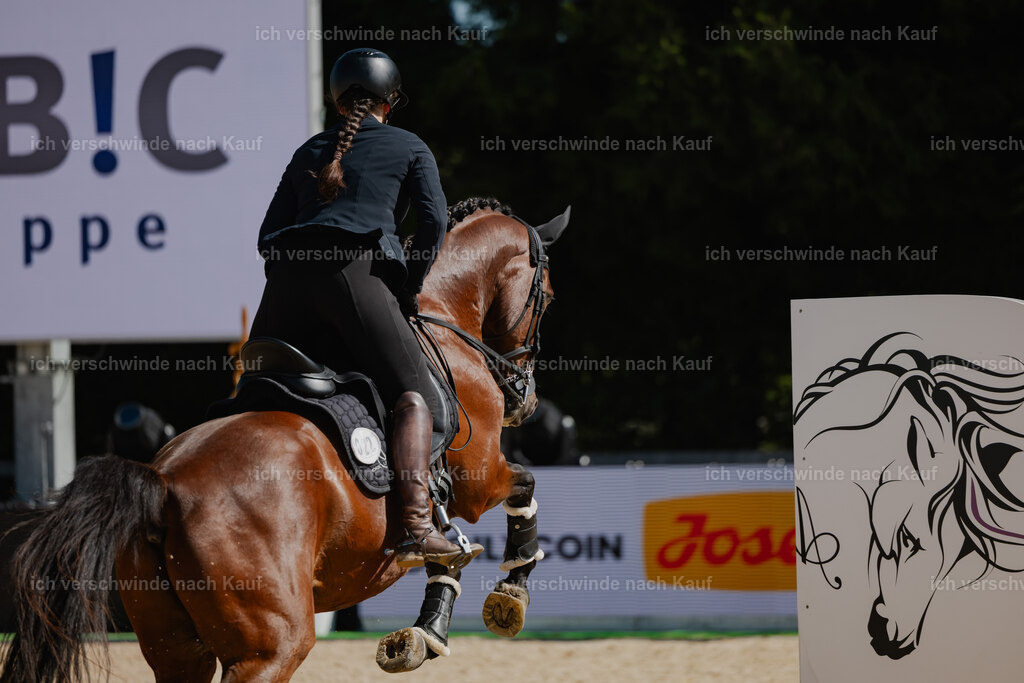 Nadine22_FHC2025-70 | working equitationturnier fotograf videograf stoibphotography marixx film working equitation deutschland reitsport turnierfotografie eventfotografie equestrian events