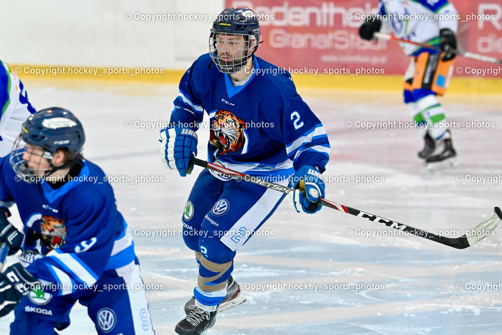  EC Tigers Paternion vs. EC Virgen 8.1.2022 | #2 Pranjic Marko