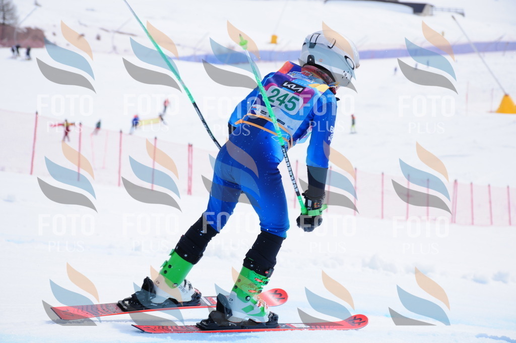 DSC_2309 | holidayphoto