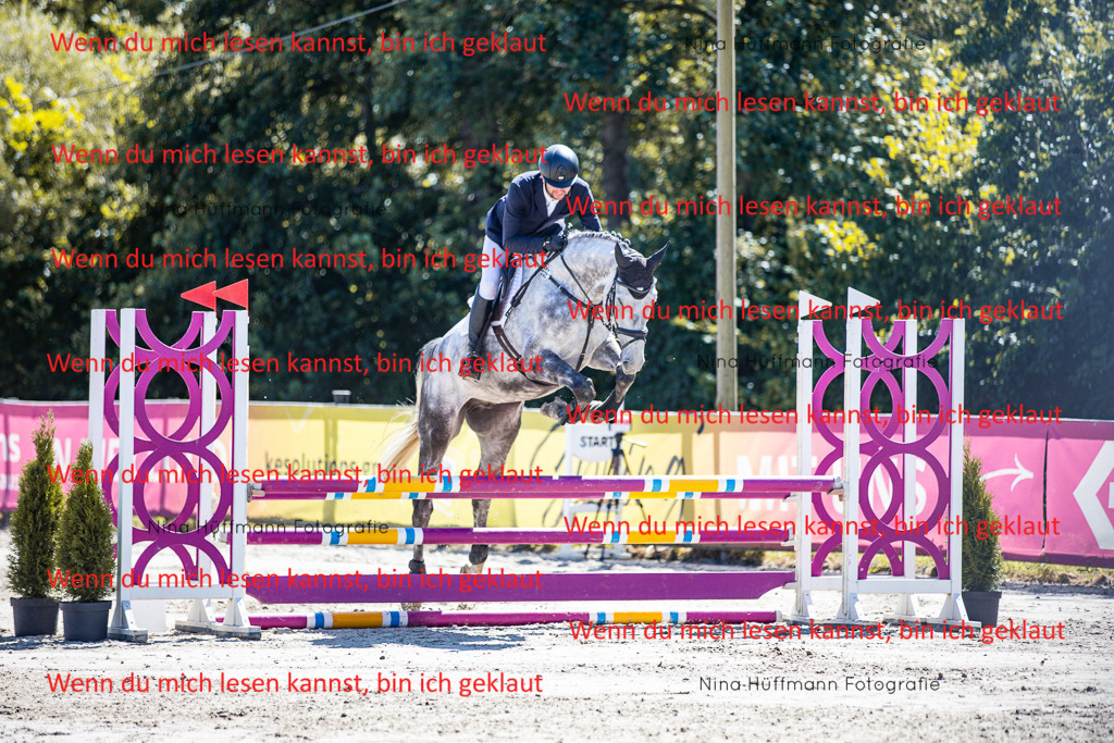BK1A5360 | Turnierbilder Turnierfotos Nina Hüffmann Turnierfotografie Pferdefotografie Tierzeichnung Haustierzeichnung Pferdezeichnung Hundezeichnung Videograf  - Realisiert mit Pictrs.com