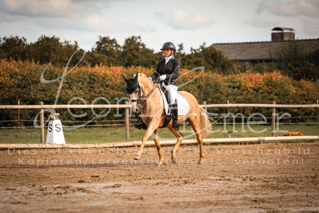 17.SoDrM00127 | Leoni Ertmer Photography - Realisiert mit Pictrs.com