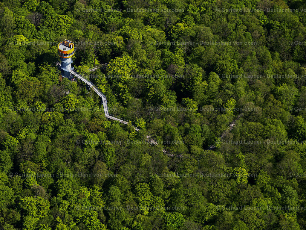2801331 | Baumkronenpfad Hainich Nationalpark