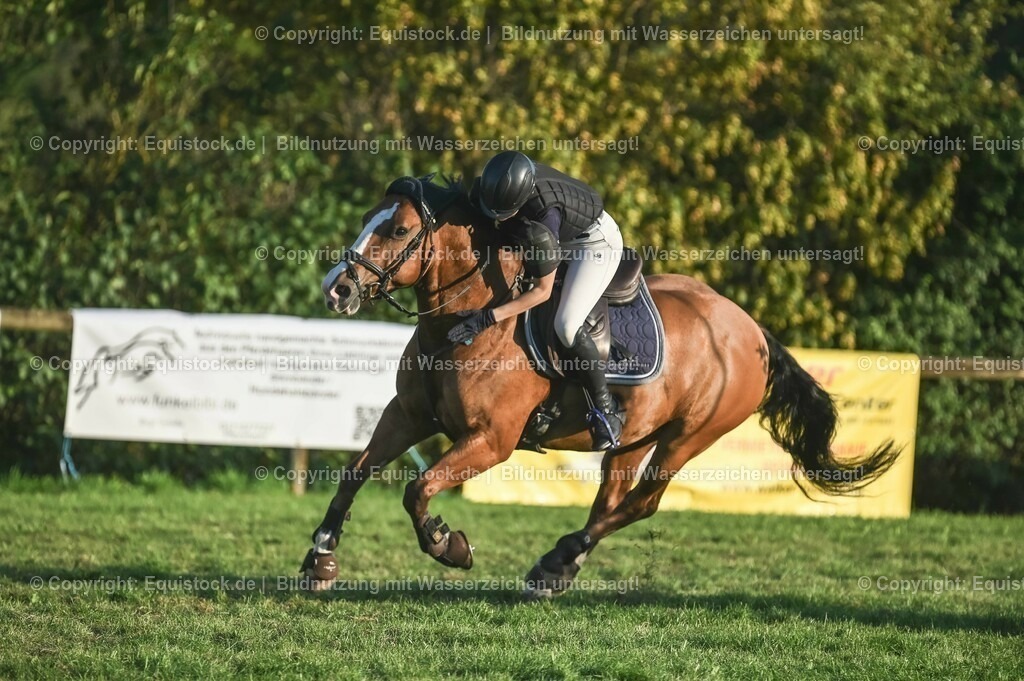 20230909_20_Leonberger-Derby_0170 | Foto: Thomas Hartig