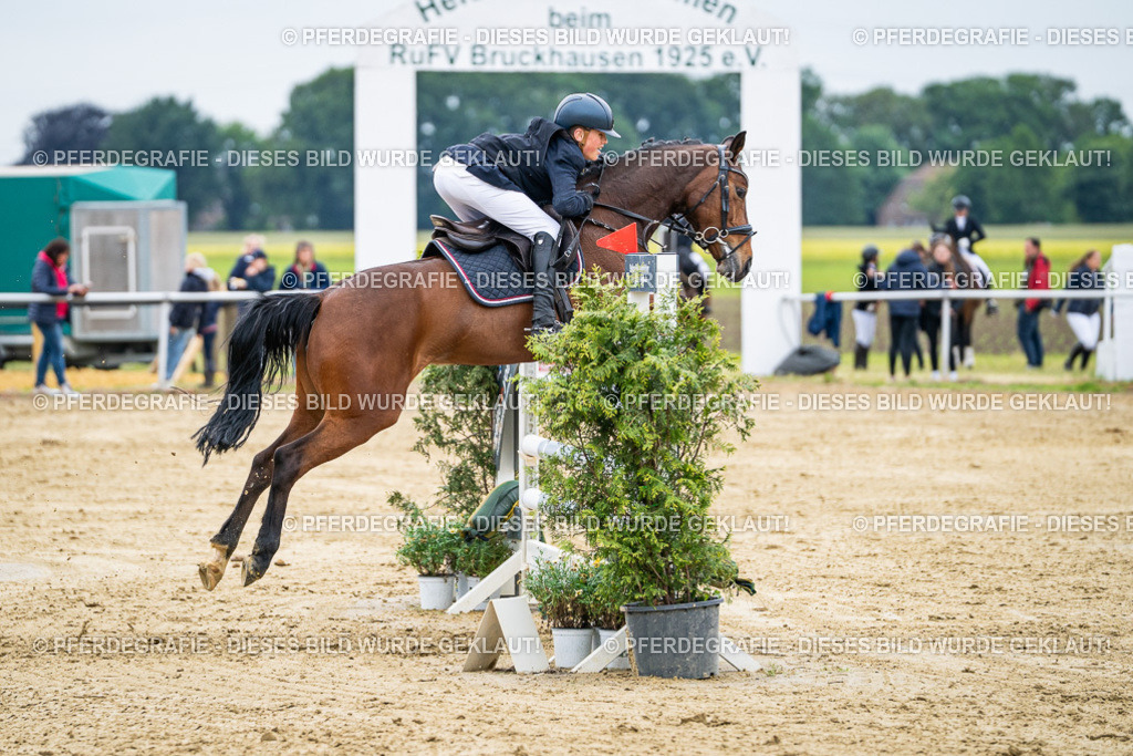 DSC06377 | Pferdegrafie