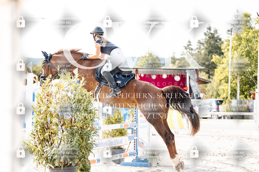 CK906075 | Turnierfotografie Pferdefotografie Trier Rheinland-Pfalz Pferdesport Reitsport Tierfotografie Sportfotografie Pferdevideo Pferdevideografie Equestrianvideography equestrianphotography  - Realisiert mit Pictrs.com