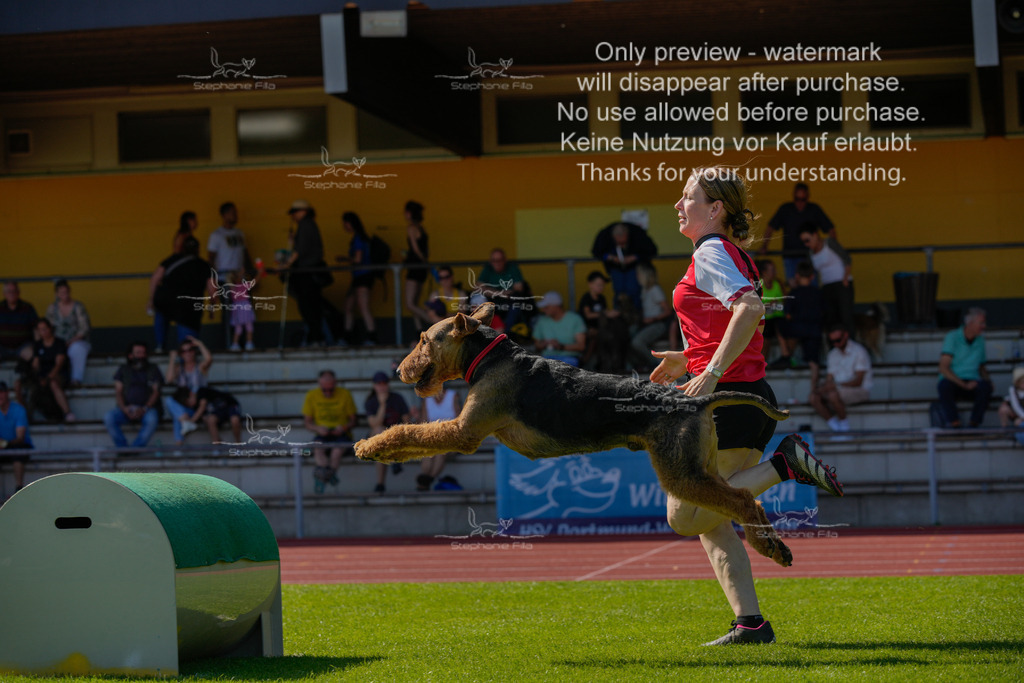 Sonntag_VK Hindernis (647 von 671) | stephaniefillaphotographie - Realisiert mit Pictrs.com