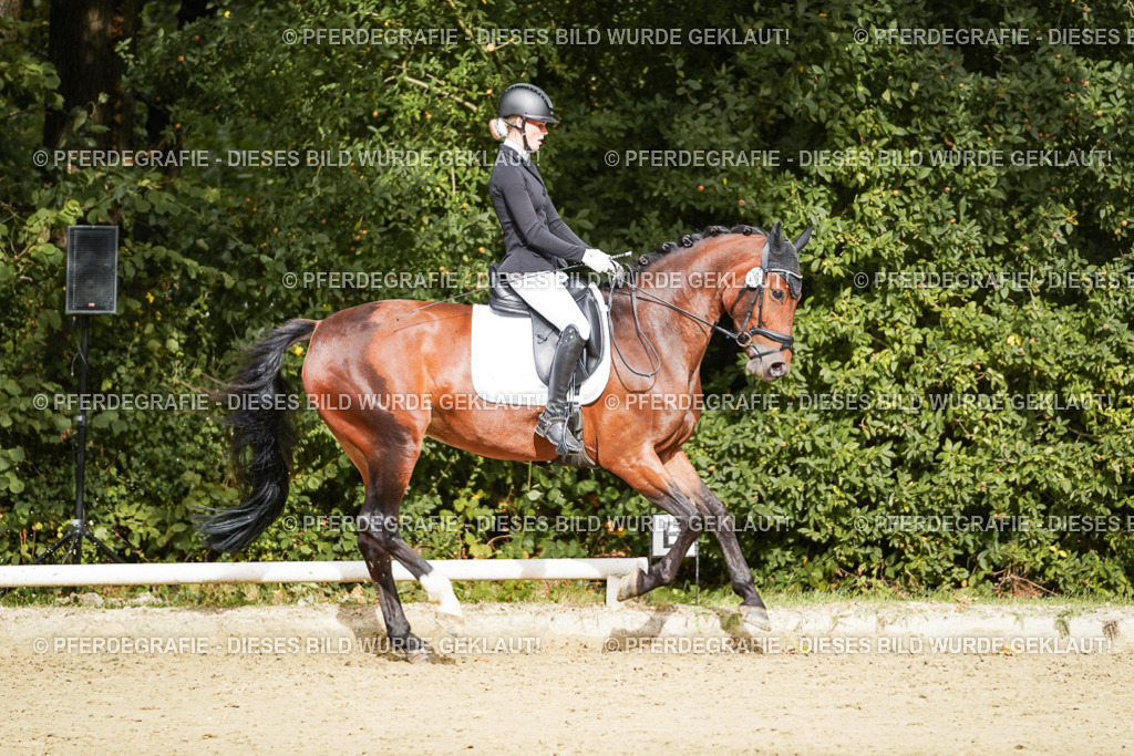 DSC00470 | Pferdegrafie