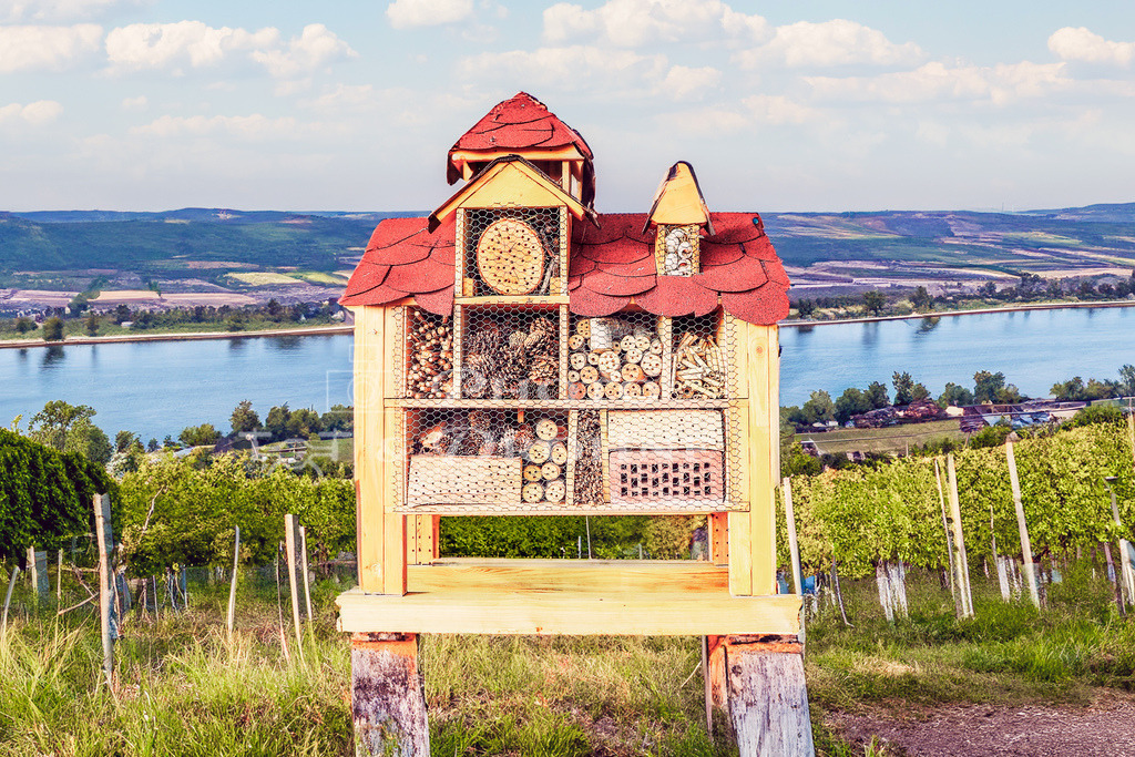 Bienenhotel- | Bienenhaus, Bienenhotel, zum Schutz und zur Vermehrung von Bienen und anderen nützlichen Insekten - Realisiert mit Pictrs.com