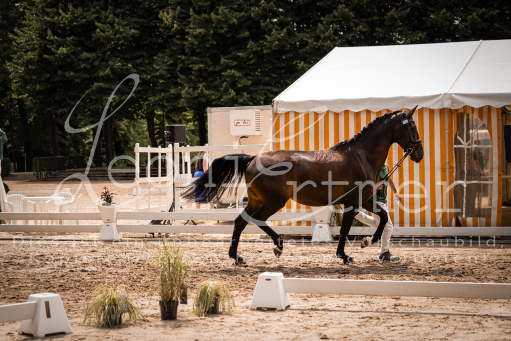 3.Fr00063 | Leoni Ertmer Photography - Realisiert mit Pictrs.com