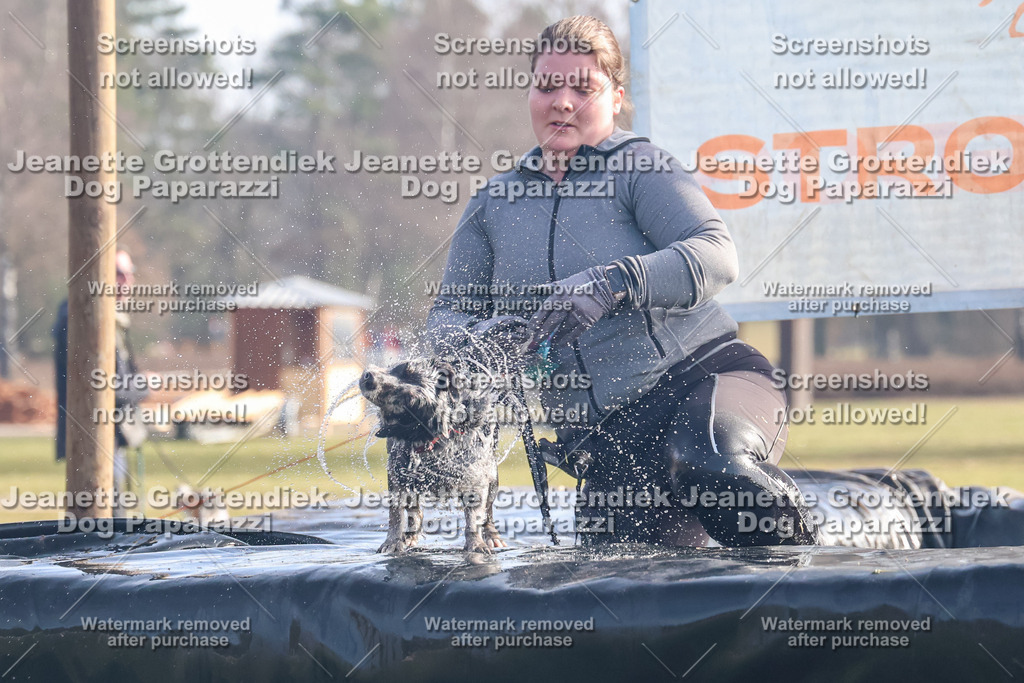 Dog Paparazzi - Strongdog North Mrz26-230 | Dog Paparazzi Jeanette Grottendiek Fotografie & Videografie - Realisiert mit Pictrs.com