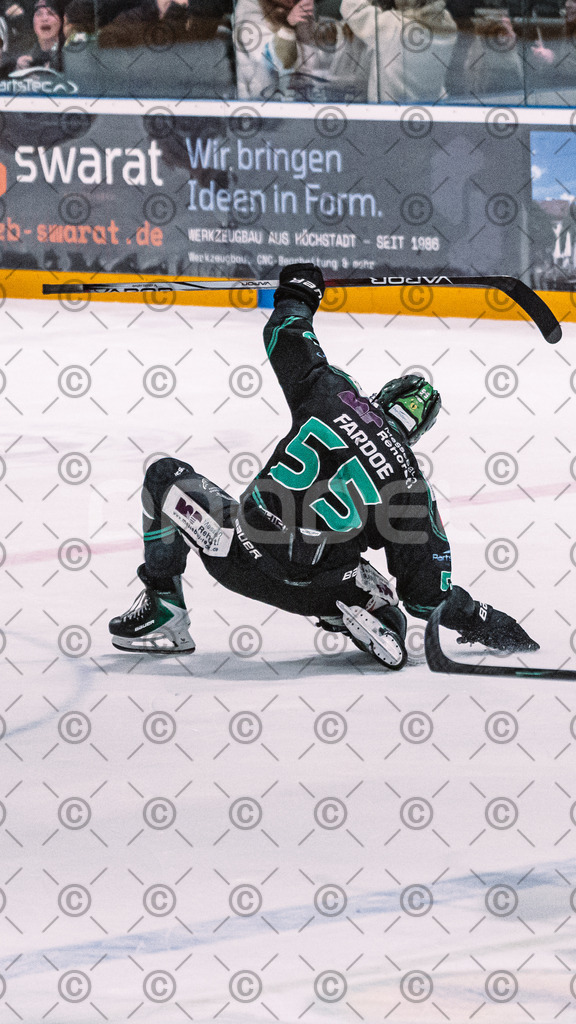 Alligators_vs_Selb_27_02_2026-38 | Höchstadt Alligators Fotogalerie: Eishockey-Action aus Franken. Professionelle Spielfotos, Portraits & Stadionbilder zum Download. Jetzt entdecken! - Realisiert mit Pictrs.com