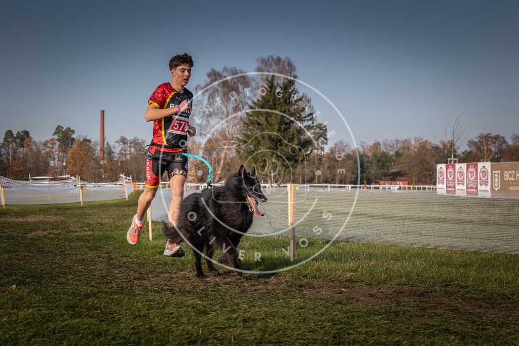 CaniXpix_0L8A9665 | Hundefotografie, Tierfotograf, Pfotenfotografie, Fotoshooting Hund, Hunde Portrait, Hundesport, Hundeportraits, Heideshooting, Hunde, Sportfotograf, Hundefotograf, Turnierhundsport, THS,  - Realisiert mit Pictrs.com